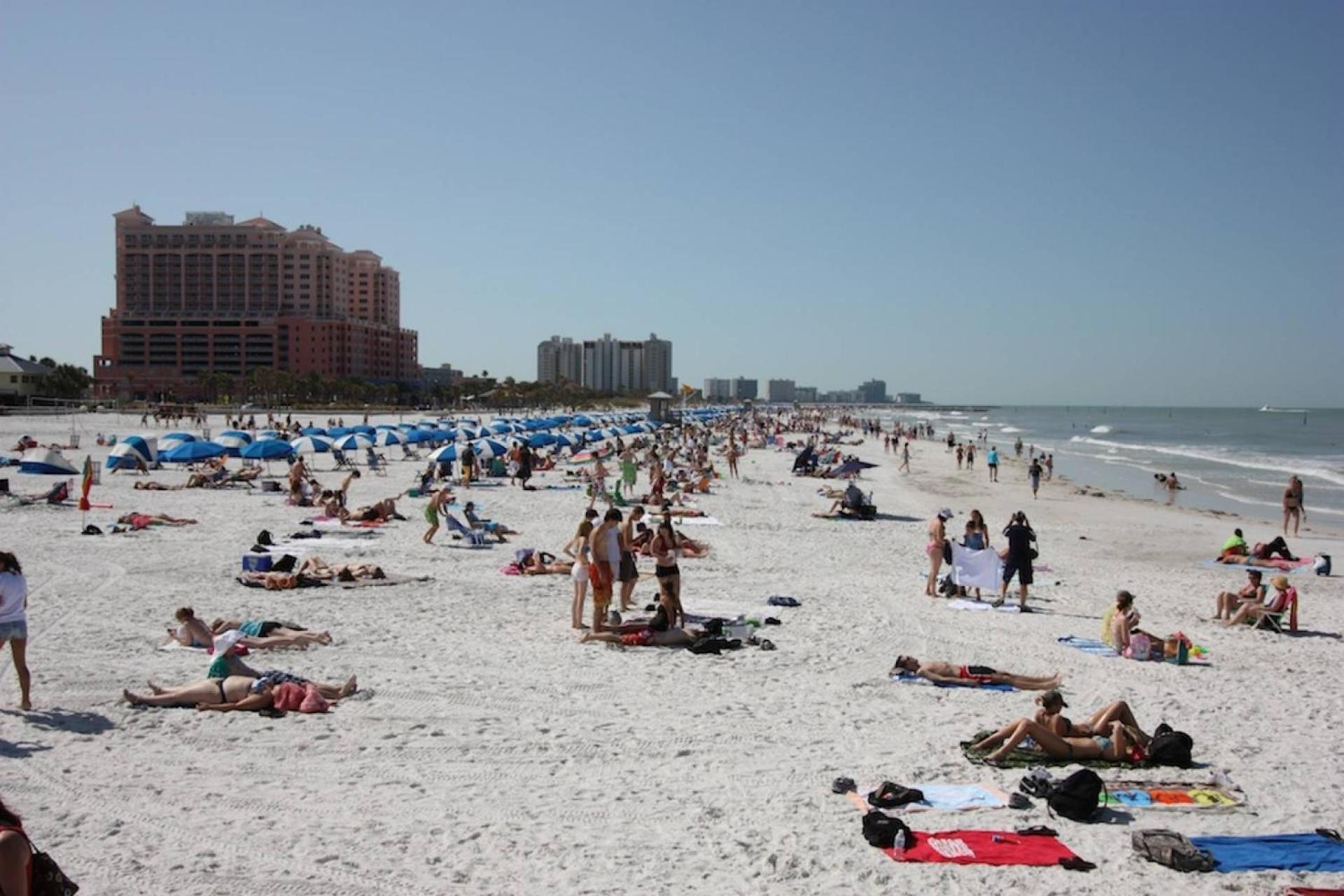 201 Belleair Beach Club Clearwater Beach Buitenkant foto
